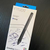 Pen per scrivere su ipad WACOM