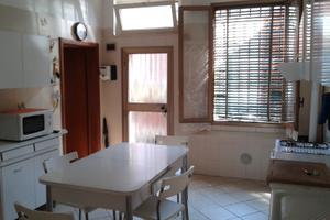 Appartamento zona stadio