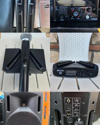 cassa da 550 watt più microfoni 