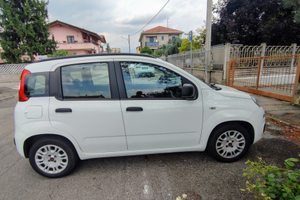 Fiat Panda 1.2 benzina euro 6