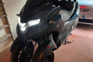 Tricity 300