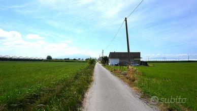 TER. AGRICOLO A EBOLI