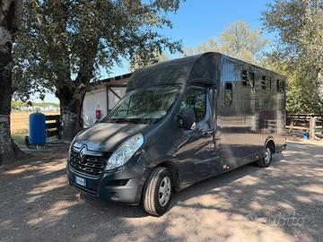 Reanult master trasporto 2 cavalli