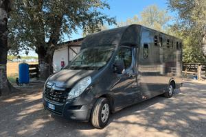 Reanult master trasporto 2 cavalli
