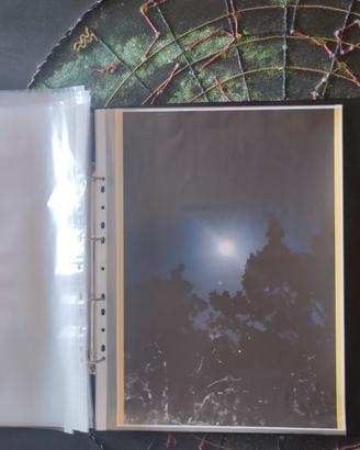 10 buste trasparenti forate A3 porta fotografie