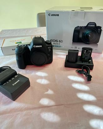 Canon EOS 6D Mark II ( SOLO CORPO ) 11.675 scatti