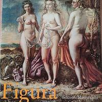 Libro d'Arte- La Figura nel Novecento