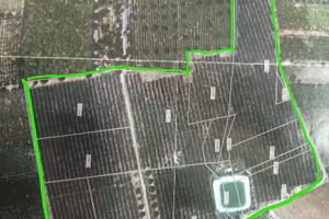 Terreno agricolo 61.000 mq
