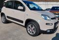 Fiat Panda 1.3 MJT S&S 4x4-ELD Antartica