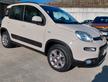 Fiat Panda 1.3 MJT S&S 4x4-ELD Antartica