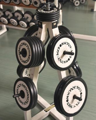 Palestra completa