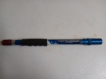 asta per abbacchiatori pneumatici 