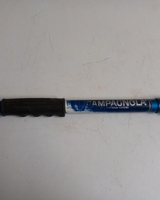 asta per abbacchiatori pneumatici 