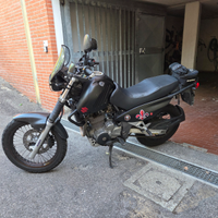Suzuki XF Freewind