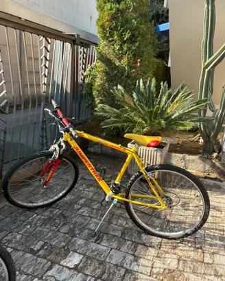 Mountain Bike Jumpertrek Bomber 26”
