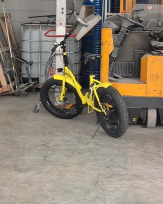bici pieghevole 