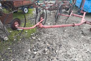 Ranghinatore 5 stelle