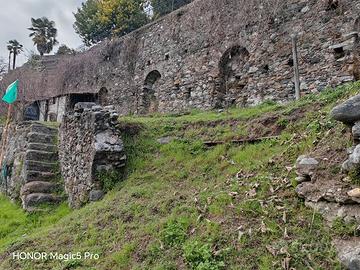 Terreno agricolo