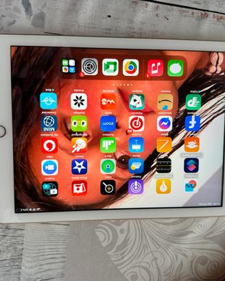 I Pad 5 serie