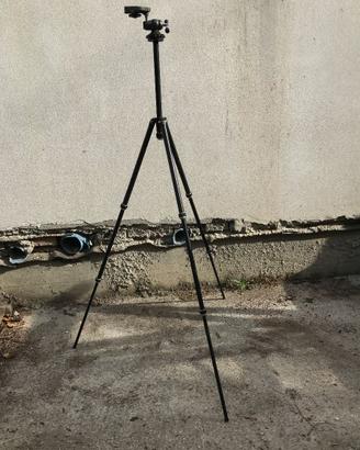 Gitzo cavalletto tripod