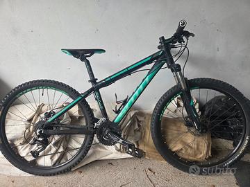 una mtb ed una bici da corsa