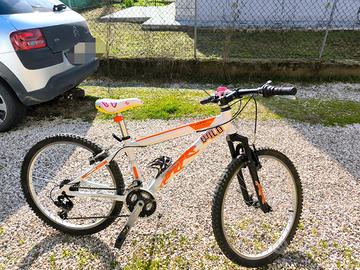 MTB 24