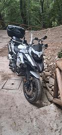Benelli TRK 502 - 2022