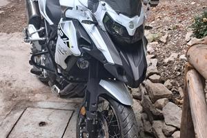 Benelli TRK 502 - 2022