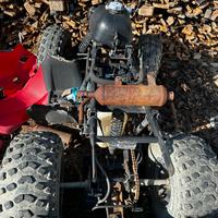 Quad cinese targato