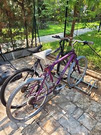 Coppia di Biciclette 