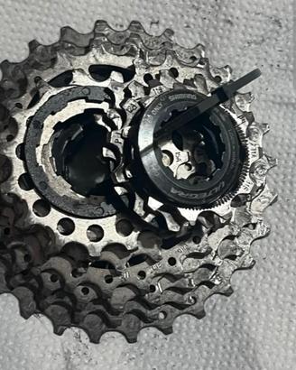 pacco pignoni Shimano 