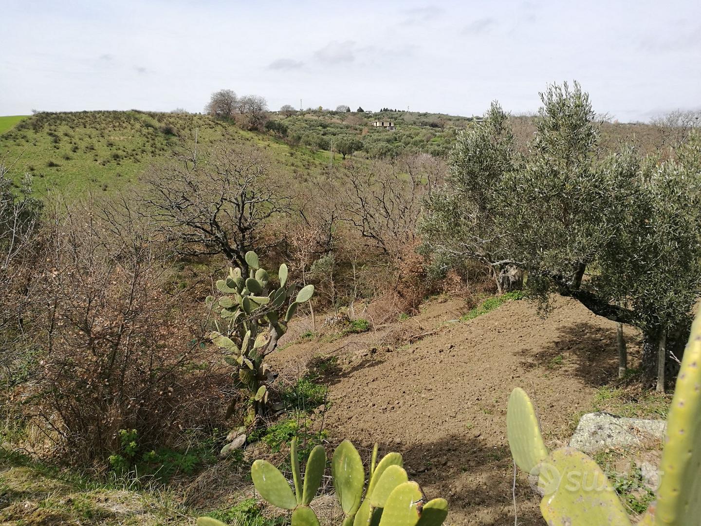 Terreno Agricolo - Vista 5