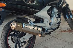 Yamaha YBR 250 naked - 2008