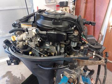 yamaha 9.9/20