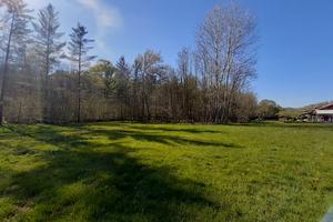 Splendida Esposizione