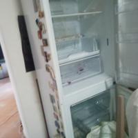Frigo