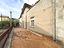 Immagine 12