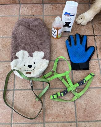 Accessori per cani