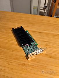 scheda video Nvidia GeForce 