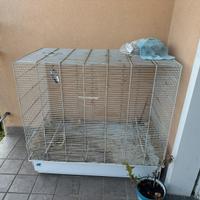 gabbia per uccelli