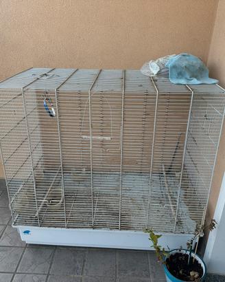 gabbia per uccelli