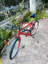 Bici MTB ruota da 26" 