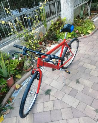 Bici MTB ruota da 26" 