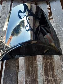 Monoposto Kawasaki z 1000