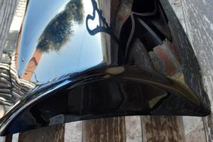 Monoposto Kawasaki z 1000