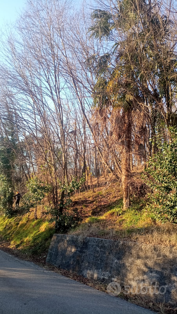 Terreno agricolo a uso bosco - Vista 2