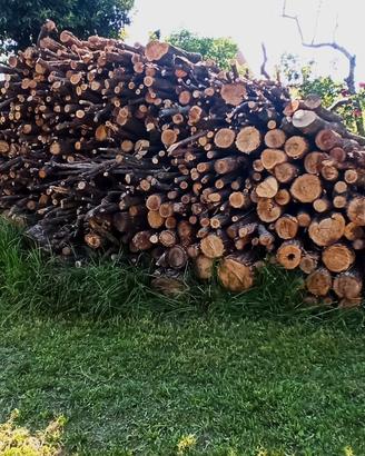 LEGNA DA ARDERE
