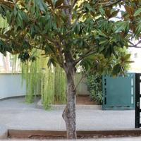 Ampio appartamento a 300 metri dal mare, Baia verd