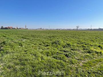 14 campi con casetta