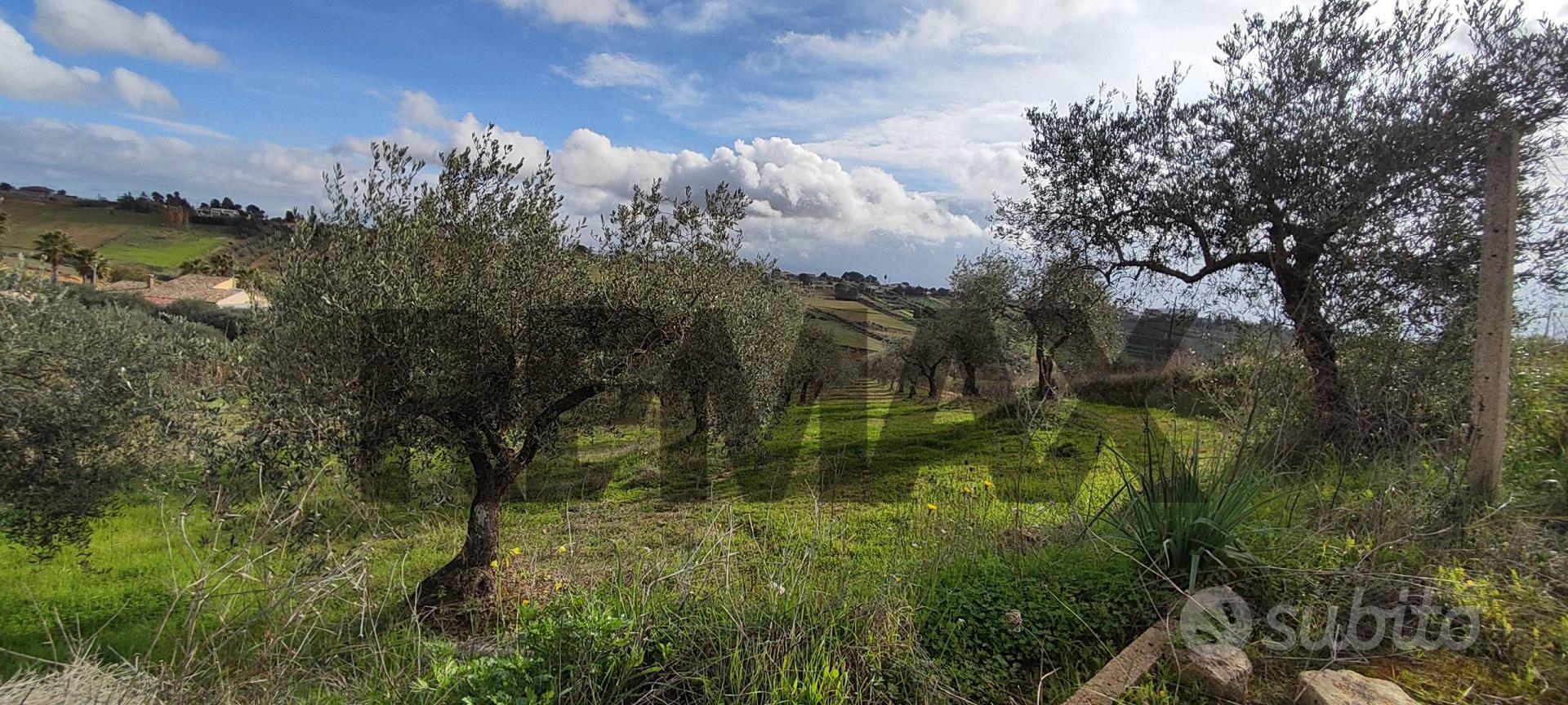 Terreno - Caltagirone - Altro